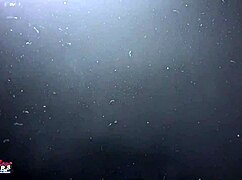 sabrina's sucking that hard cock