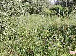 Feeling The Passion In This Hot Interracial Compilation With Angolan Beauty