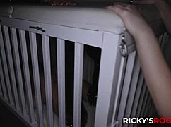 horny hot chick sophia wilde fucks large dick