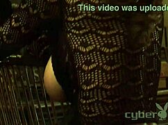 Tiffany Taylor Playmate Xtra!