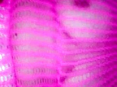 Latina Amateur's Rich Juices Flow During Intense Mexican Passionate Encounter