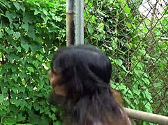 after boxing, i hit the neighbor, so i sucked his big cock to make up!