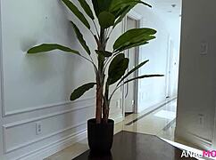 pristine edge in the ass dragon with anal deepthroat fucking big ass assfucking monster