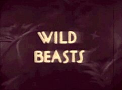 Lanterna Întunecată dezvăluie Frumusețea și Bestia în stil vintage