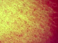 Bbw riding dick in public outdoors 😏