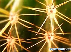 Dominant lesbian fingers tight babe to squirting climax.