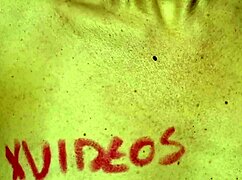 Real amateur couple Karina and Lucas banging hard after wedding day 😍