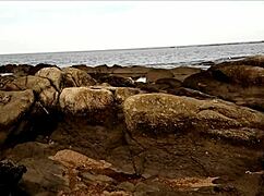 Exciting beach walk leads to passionate cock insertion with busty brunette