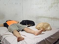 ballerina rides cousin's cock 😍