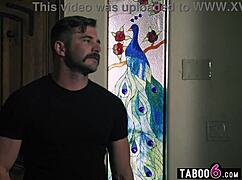 bisexual threesome with lesbian roommates leana lovings laney grey fucking?