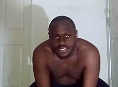 Lizard Exercises Differ From Spider And Squid Moves For Scorpio Zodiac Animals