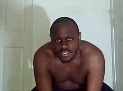 Lizard Exercises Differ From Spider And Squid Moves For Scorpio Zodiac Animals