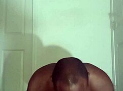 Lizard Exercises Differ From Spider And Squid Moves For Scorpio Zodiac Animals