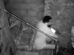 Hidden camera catches Latina stepmother with her stepson in forbidden act.