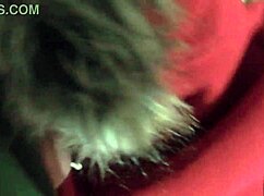 Yo, Santa knows how to handle a horny cheating wife! MilfyCalla milf slut gets wild in lingerie. 😜