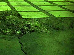 Hairy teen babe gets fucked with feet fetish in her first bondage domination session