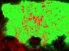 Succubus Frost Onoskelis Sex Scenes