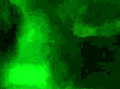 Tattooed Argentinian Prostitute from Bs As