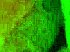 Tattooed Argentinian Prostitute from Bs As