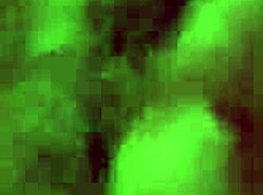 airplane flight with many women on board