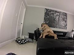 cory chase dominates in taboo roleplay