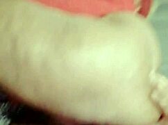 Sundaydogood614 shares update 965 on april 12 2025