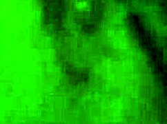 airplane flight with many women on board