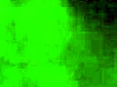 airplane flight with many women on board