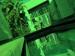 Anastasia Black's cock obsession 😈 her rents can't know