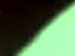 airplane flight with many women on board