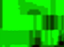 airplane flight with many women on board