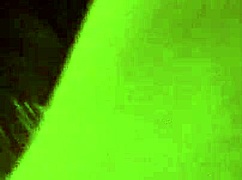 my wife gives blowjob