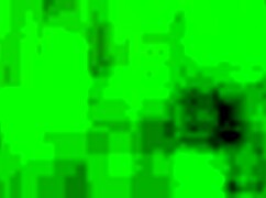 I love the sound of my pussy farts during sex.