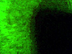 I love the sound of my pussy farts during sex.