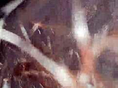 Aventures Audacieuses de Pelotage dans Rico Arrimon 07