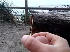 Playing on the beach