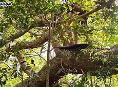 Vrei futere anal intensă?