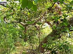 Želiš intenzivno analno jebanje?