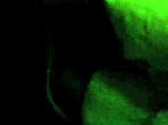 Amateur ebony babe sucks dick like a pro