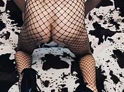 Wife rides in cowgirl position wearing mesh bodysuit.