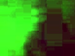 Wife Twerking Her Big Ass on Dick