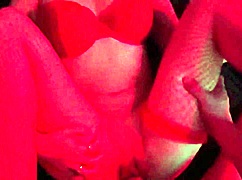 Busty Babe Teases Multiple Cums From Rough Anal Fucking