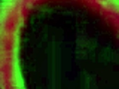 Juicy Jazmynne's Massive Ass Covered in Rome Majors' Jizz