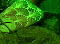 the fisherman season 5: blonde amateur explores outdoor public sex with european guys