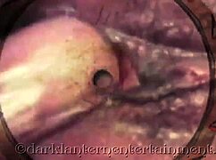 Vintage erotic confessions of a Victorian gentleman