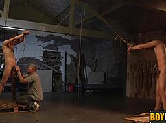 sebastian likes to tie strings big balls and uncut penis