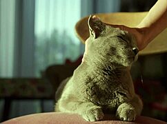 5 instant tips for premature ejaculation