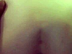 Black Bulls Bunny Ravishes Ray Main Bunny.