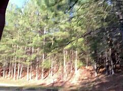 Clitlicker update 35 image