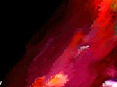 my personal assistant handles daily tasks efficiently